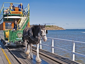 South Eastern Australia Discovery Tour